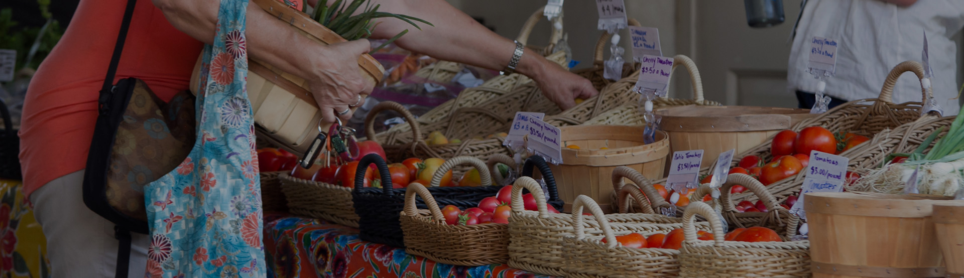 Santa Cruz River Farmers' Market
