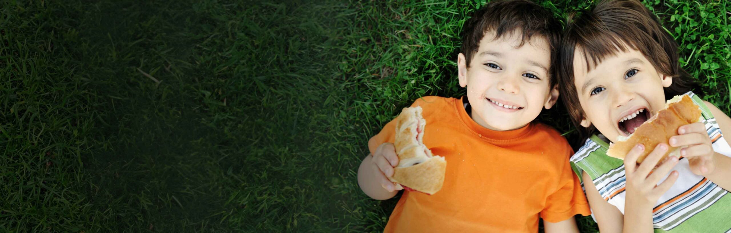 Help Provide Summer Meals